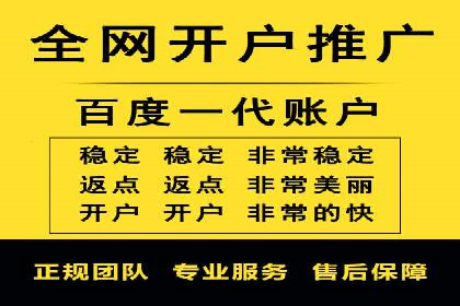 SEM托管服务，成功案例深度分析
